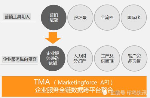 珍岛视角 大数据营销时代的核心驱动力与数字技术服务新范式